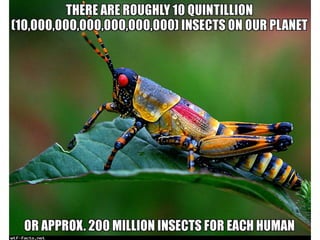 Amazing WTF Facts about animals that will blow your mind | PPTX
