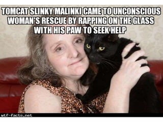 Amazing WTF Facts about animals that will blow your mind | PPTX