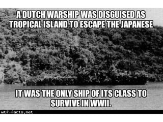 Amazing WTF Facts about animals that will blow your mind PPTX