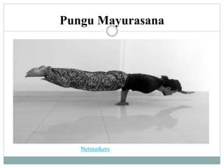 Pungu Mayurasana
Netmarkers
 