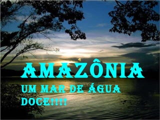 AMAZÔNIA  UM MAR DE ÁGUA DOCE!!!! 