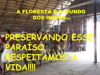 A FLORESTA É O MUNDO DOS ÍNDIOS... PRESERVANDO ESSE PARAÍSO... RESPEITAMOS A VIDA!!!!