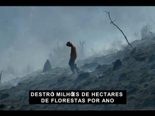 DESTR ÓI MILHÕES DE HECTARES  DE FLORESTAS POR ANO 