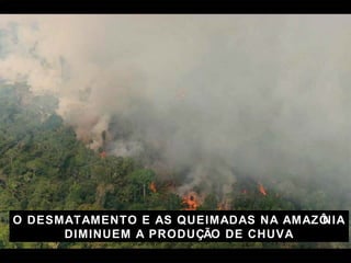 O DESMATAMENTO E AS QUEIMADAS NA AMAZ ÔNIA DIMINUEM A PRODUÇÃO DE CHUVA 