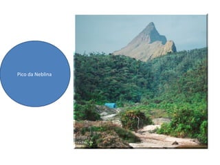 Pico da Neblina
 