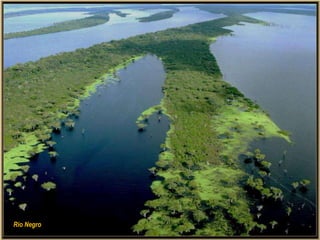Rio Negro
 