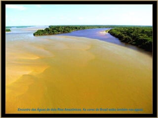 Encontro das Águas de dois Rios Amazônicos. As cores do Brasil estão também nas águas.
 