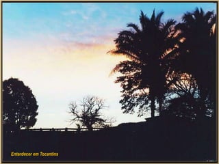 Entardecer em Tocantins
 