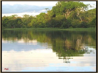 Pará
 