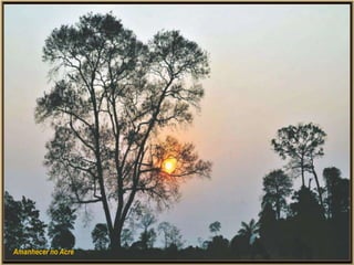 Amanhecer no Acre
 
