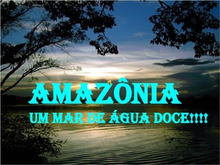 AMAZÔNIA  UM MAR DE ÁGUA DOCE!!!! 