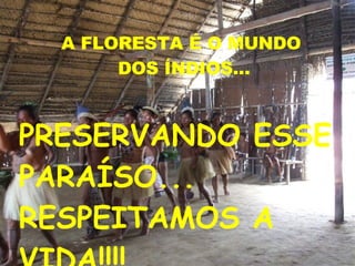 A FLORESTA É O MUNDO  DOS ÍNDIOS... PRESERVANDO ESSE PARAÍSO... RESPEITAMOS A VIDA!!!! 