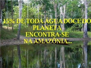 15% DE TODA ÁGUA DOCE DO PLANETA ENCONTRA-SE NA AMAZÔNIA... 