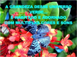 A GRANDEZA DESSE UNIVERSO VERDE... É HABITADO E ADORNADO COM MÚLTIPLAS CORES E SONS 