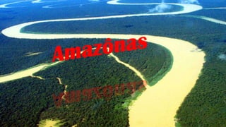 Amazônia
 