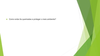  Como evitar As queimadas e proteger o meio ambiente?
 