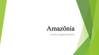 Amazônia
A maior região brasileira
 