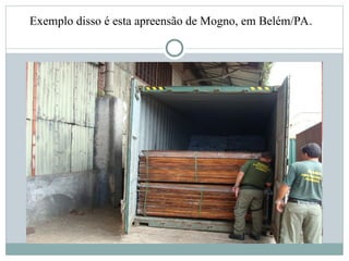 Exemplo disso é esta apreensão de Mogno, em Belém/PA.
 