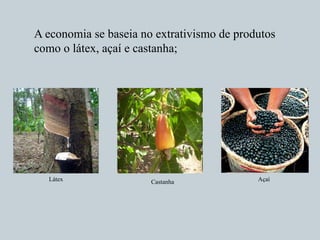 A economia se baseia no extrativismo de produtos
como o látex, açaí e castanha;
Látex Castanha Açaí
 