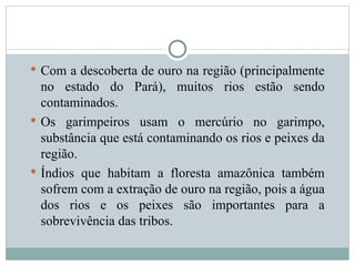  Com a descoberta de ouro na região (principalmente
no estado do Pará), muitos rios estão sendo
contaminados.
 Os garimpeiros usam o mercúrio no garimpo,
substância que está contaminando os rios e peixes da
região.
 Índios que habitam a floresta amazônica também
sofrem com a extração de ouro na região, pois a água
dos rios e os peixes são importantes para a
sobrevivência das tribos.
 