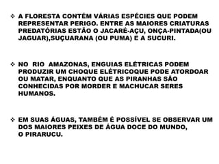  A FLORESTA CONTÉM VÁRIAS ESPÉCIES QUE PODEM
REPRESENTAR PERIGO. ENTRE AS MAIORES CRIATURAS
PREDATÓRIAS ESTÃO O JACARÉ-AÇU, ONÇA-PINTADA(OU
JAGUAR),SUÇUARANA (OU PUMA) E A SUCURI.
 NO RIO AMAZONAS, ENGUIAS ELÉTRICAS PODEM
PRODUZIR UM CHOQUE ELÉTRICOQUE PODE ATORDOAR
OU MATAR, ENQUANTO QUE AS PIRANHAS SÃO
CONHECIDAS POR MORDER E MACHUCAR SERES
HUMANOS.
 EM SUAS ÁGUAS, TAMBÉM É POSSÍVEL SE OBSERVAR UM
DOS MAIORES PEIXES DE ÁGUA DOCE DO MUNDO,
O PIRARUCU.
 