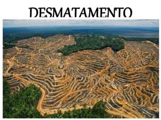 DESMATAMENTO
 