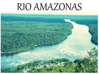 RIO AMAZONAS
 