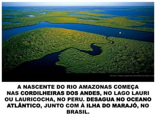 A NASCENTE DO RIO AMAZONAS COMEÇA
NAS CORDILHEIRAS DOS ANDES, NO LAGO LAURI
OU LAURICOCHA, NO PERU. DESAGUA NO OCEANO
ATLÂNTICO, JUNTO COM À ILHA DO MARAJÓ, NO
BRASIL.
 