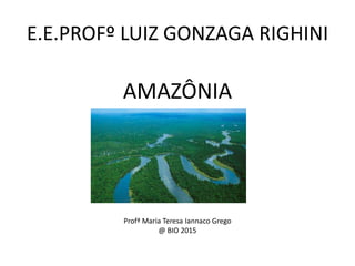 E.E.PROFº LUIZ GONZAGA RIGHINI
AMAZÔNIA
Profª Maria Teresa Iannaco Grego
@ BIO 2015
 