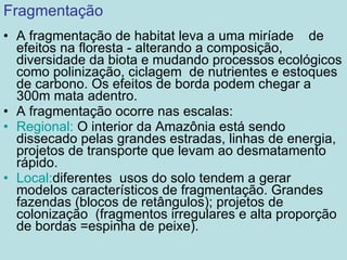 Fragmentação A fragmentação de habitat leva a uma miríade  de efeitos na floresta - alterando a composição, diversidade da biota e mudando processos ecológicos como polinização, ciclagem  de nutrientes e estoques de carbono. Os efeitos de borda podem chegar a 300m mata adentro. A fragmentação ocorre nas escalas: Regional:  O interior da Amazônia está sendo dissecado pelas grandes estradas, linhas de energia, projetos de transporte que levam ao desmatamento rápido. Local: diferentes  usos do solo tendem a gerar modelos característicos de fragmentação. Grandes fazendas (blocos de retângulos); projetos de colonização  (fragmentos irregulares e alta proporção de bordas =espinha de peixe). 