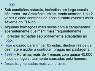 Fogo Sob condições naturais, incêndios em larga escala são raros  na Amazônia úmida, tendo ocorrido 1 ou 2 vezes a cada centenas de anos durante eventos mais severos do El Niño. Algumas formações mais secas com a campinarana aparentemente queimam mais frequentemente. Florestas fechadas são pobremente adaptadas ao fogo. Hoje  é usado para limpar florestas, destruir restos de desmate e ajudar a controlar  pragas em pastagens. 1997  – Roraima: mais de 4 meses com quase 45.000 focos de fogo virtualmente causados pelo homem. Áreas fragmentadas mais vulneráveis. 