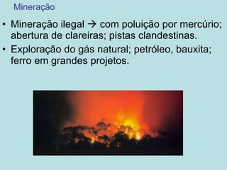 Mineração Mineração ilegal    com poluição por mercúrio; abertura de clareiras; pistas clandestinas. Exploração do gás natural; petróleo, bauxita; ferro em grandes projetos. 