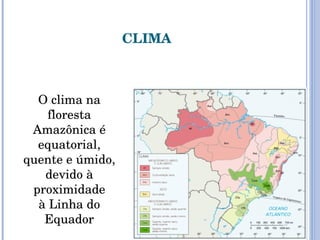 CLIMA O clima na floresta Amazônica é equatorial, quente e úmido, devido à proximidade à Linha do Equador 