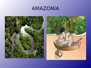 AMAZONIA 