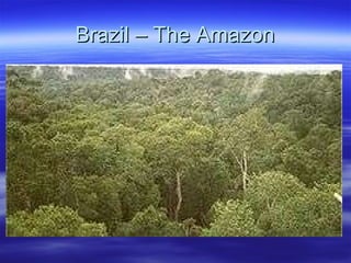 Brazil – The Amazon 
