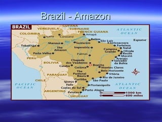Brazil - Amazon 