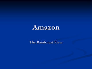 Amazon
The Rainforest River
 