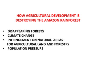 HOW AGRICULTURAL DEVELOPMENT IS DESTROYING THE AMAZON RAINFOREST ,[object Object]
