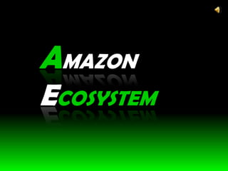 AMAZON
ECOSYSTEM
 