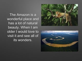 The Amazon is a
wonderful place and
has a lot of natural
beauty. When I am
older I would love to
visit it and see all of
its wonders.