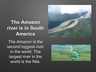 The Amazon
river is in South
America
The Amazon is the
second biggest river
in the world. The
largest river in the
world is the Nile.
