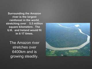 Surrounding the Amazon
river is the largest
rainforest in the world,
stretching over 5.5 million
square kilometers . The
U.K. and Ireland would fit
in it 17 times.
The Amazon river
stretches over
6400km and is
growing steadily.