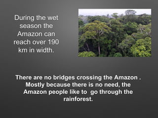 There are no bridges crossing the Amazon .
Mostly because there is no need, the
Amazon people like to go through the
rainforest.
During the wet
season the
Amazon can
reach over 190
km in width.
