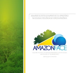 Avaliandoosefeitosdoaumentodeco2atmosférico
naecologiaeresiliênciadaflorestaamazônica
Assessing the effects of increased atmospheric CO2 on the ecology
and resilience of the Amazon forest
www.inpa.gov.br/amazonface
 