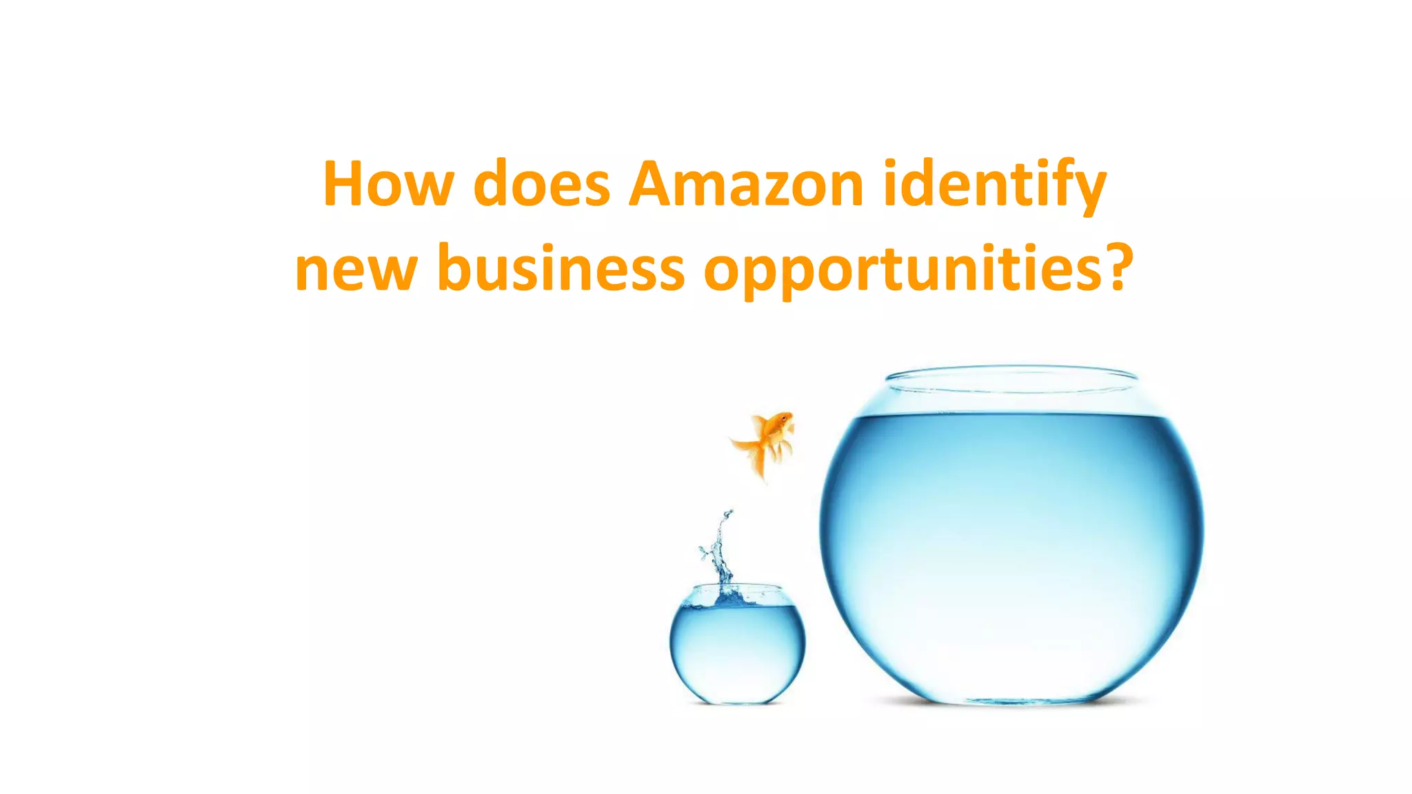 How does Amazon identify
new business opportunities?
 