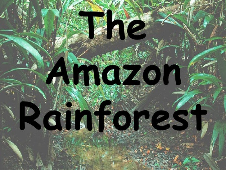 amazon rainforest rainforest powerpoint