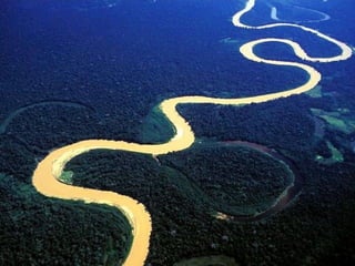 Amazon River | PPS