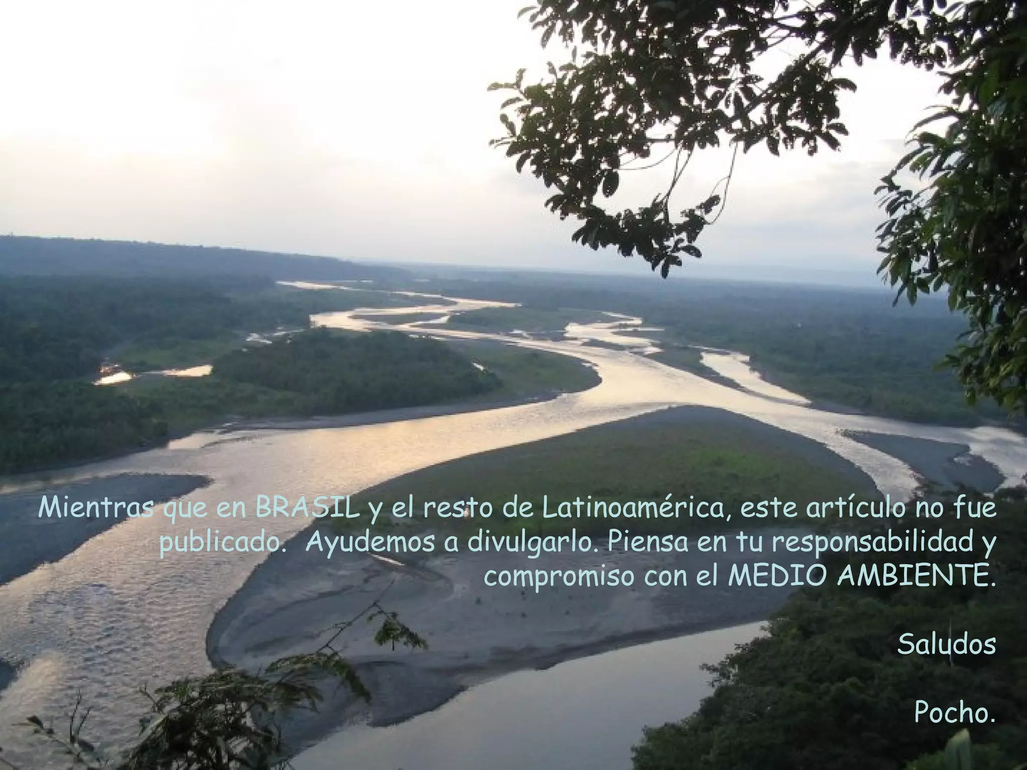 Mientras que en BRASIL y el resto de Latinoamérica, este artículo no fue publicado.  Ayudemos a divulgarlo. Piensa en tu responsabilidad y compromiso con el MEDIO AMBIENTE. Saludos Pocho . 