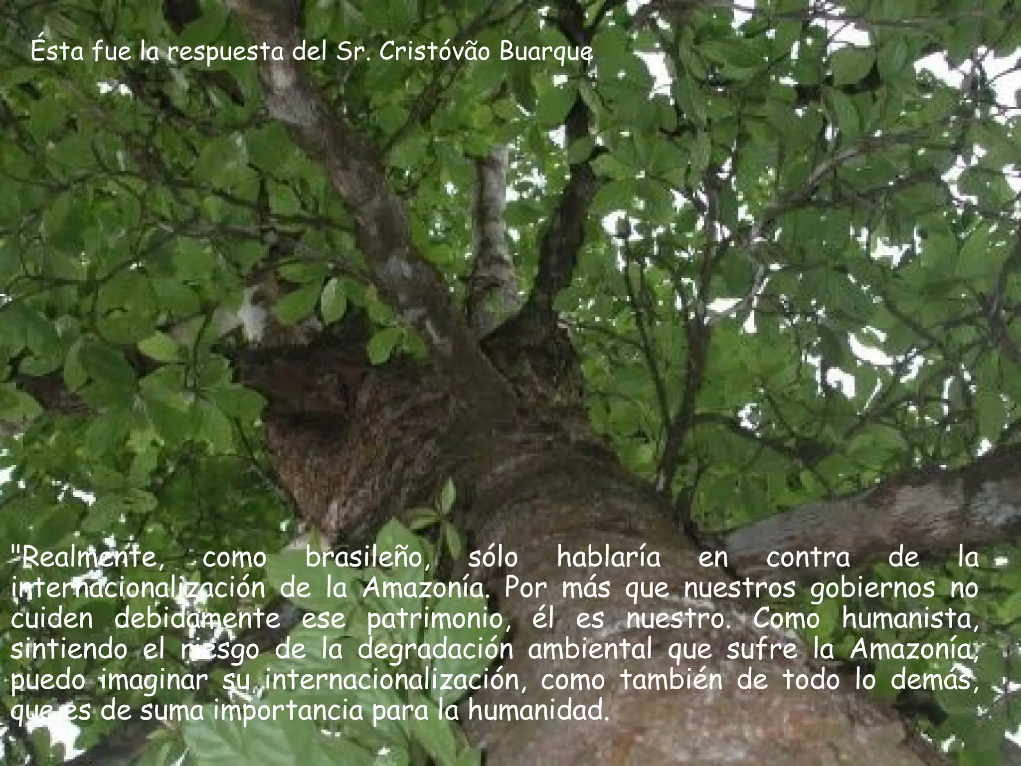 Ésta fue la respuesta del Sr. Cristóvão Buarque "Realmente, como brasileño, sólo hablaría en contra de la internacionalización de la Amazonía. Por más que nuestros gobiernos no cuiden debidamente ese patrimonio, él es nuestro. Como humanista, sintiendo el riesgo de la degradación ambiental que sufre la Amazonía, puedo imaginar su internacionalización, como también de todo lo demás, que es de suma importancia para la humanidad.  