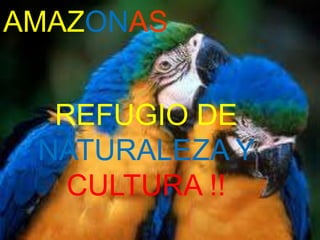 AMAZONAS


  REFUGIO DE
 NATURALEZA Y
   CULTURA !!
 